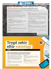 Síða 31