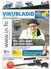 Síða 41