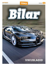 Síða 51