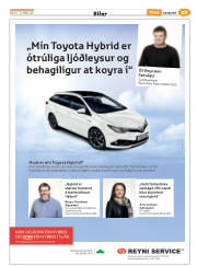 Síða 67