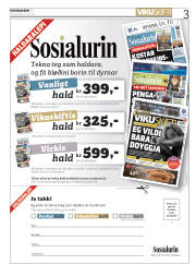 Síða 3