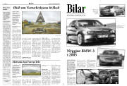 Síða 8