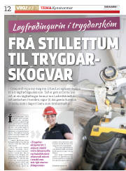 Síða 12