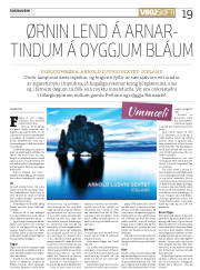 Síða 19