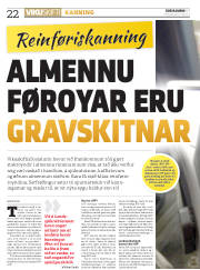 Síða 22