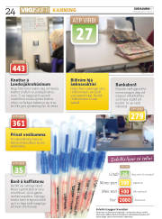 Síða 24