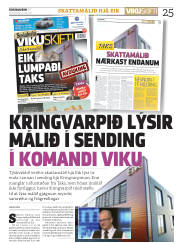 Síða 25