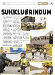 Síða 29