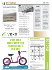 Síða 38
