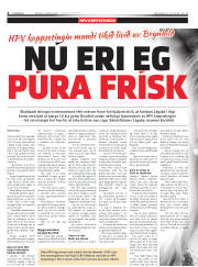 Síða 4