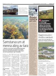 Síða 9