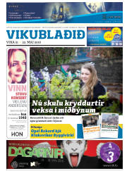Síða 25