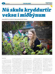 Síða 28
