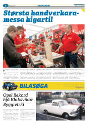 Síða 30