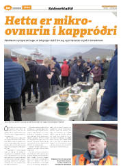 Síða 44