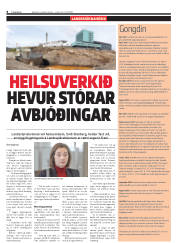Síða 8