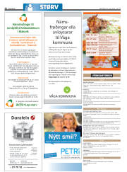 Síða 22