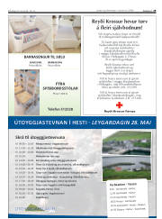 Síða 29