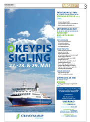 Síða 3