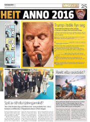 Síða 25
