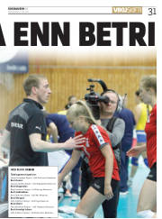 Síða 31