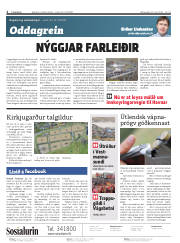 Síða 2