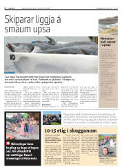 Síða 6
