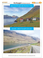 Síða 39
