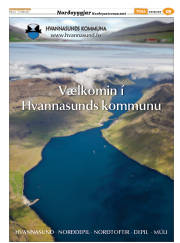 Síða 43