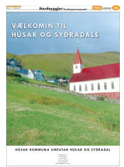Síða 45