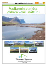 Síða 53