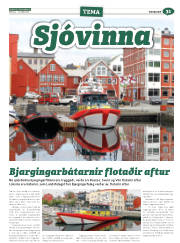 Síða 55