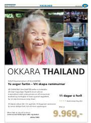 Síða 61