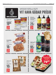 Síða 3