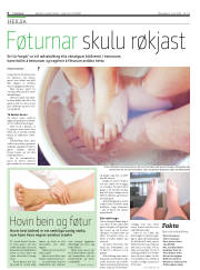 Síða 6