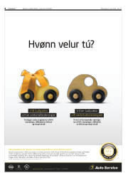 Síða 8
