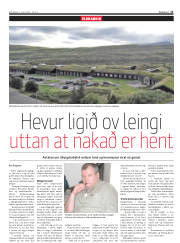 Síða 11