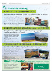 Síða 12