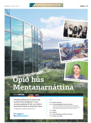 Síða 17