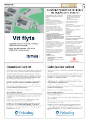 Síða 5
