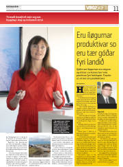 Síða 11