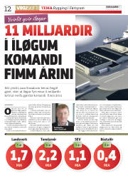 Síða 12