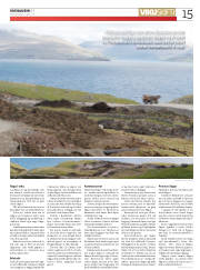 Síða 15