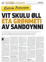 Síða 16