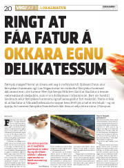 Síða 20