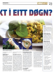 Síða 23