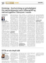 Síða 36