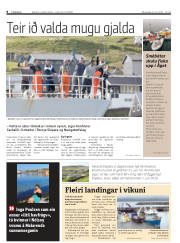 Síða 8