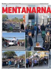 Síða 10