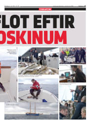 Síða 15
